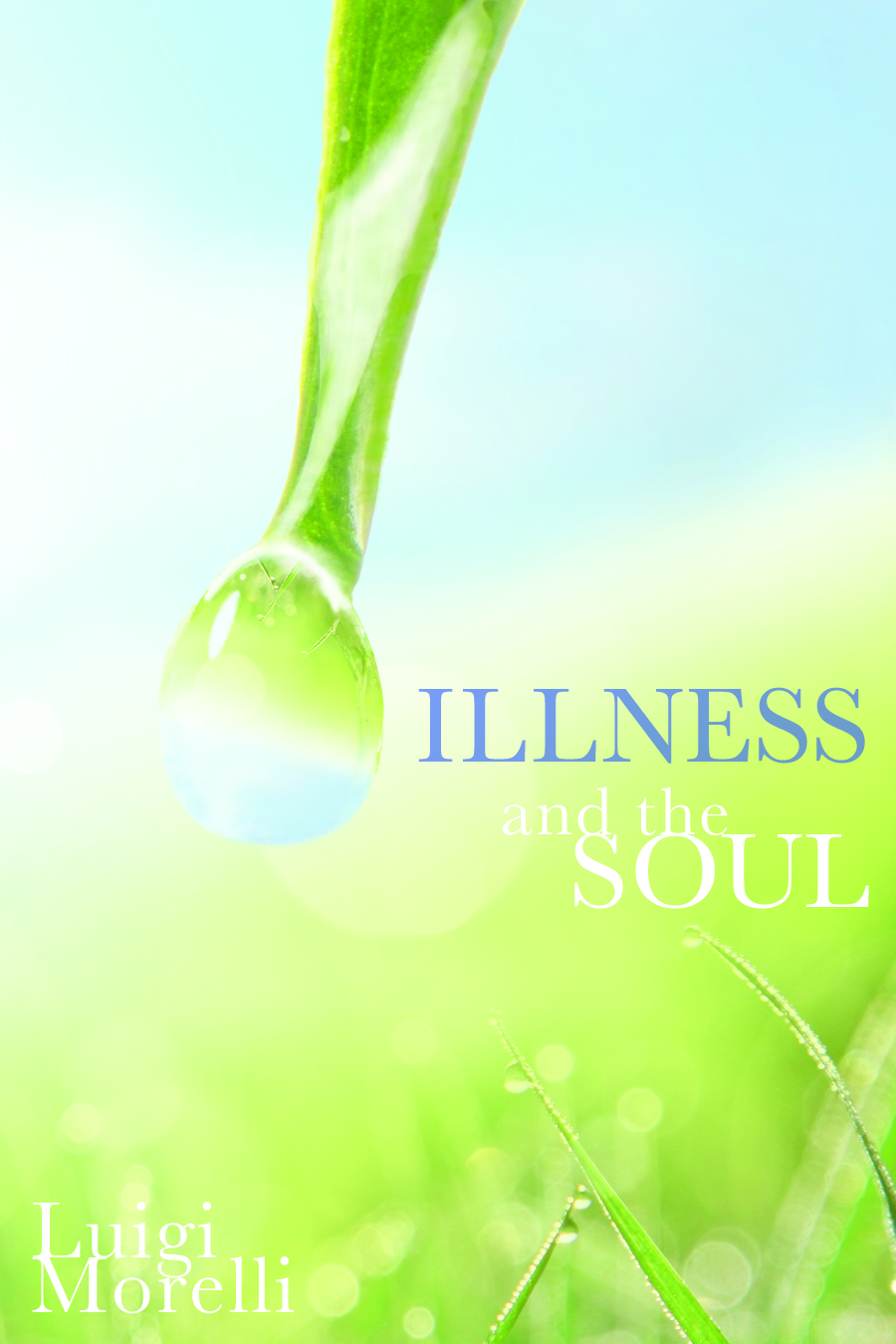 Book cover for Illness and the Soul